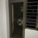 This is an image representing Secure Your Durban Property With a Security Gate