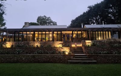 2023 Window Design Trends