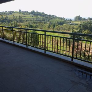 This is an image representing Balustrades